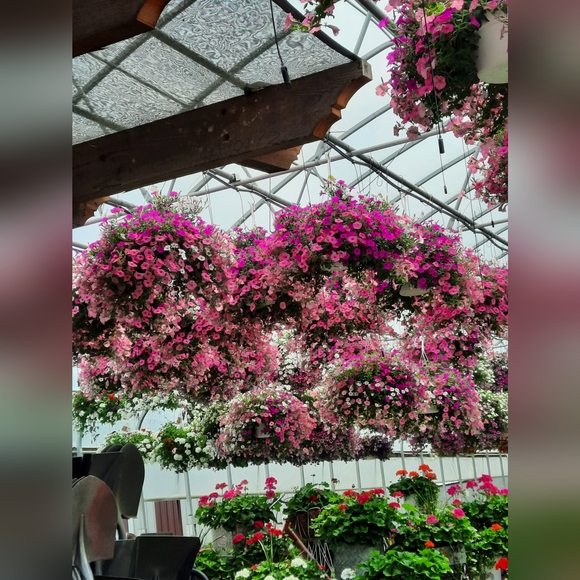 Meet your Posher, Sarah - Picture 1 of 12